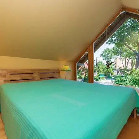 Pri Rouzes Паланга