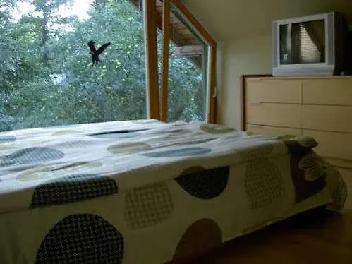 Apartament Pri Rouzes *